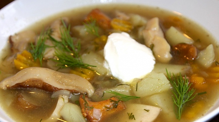 Суп а-ля Строганов — согревающий, наваристый, ароматный!